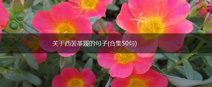 关于西装革履的句子(合集50句),第1张