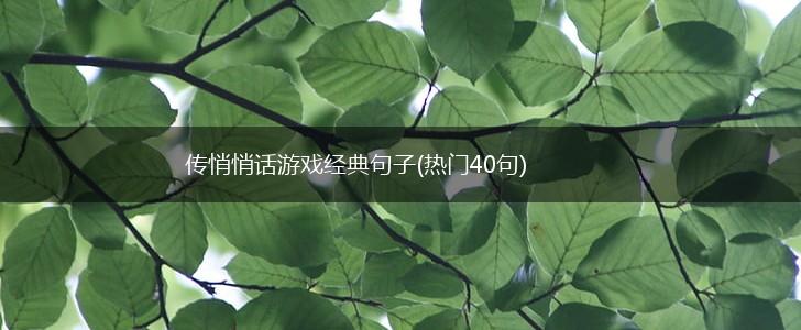 传悄悄话游戏经典句子(热门40句),第1张