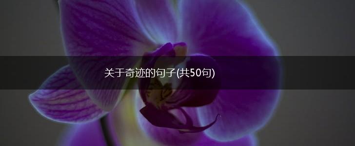 关于奇迹的句子(共50句),第1张