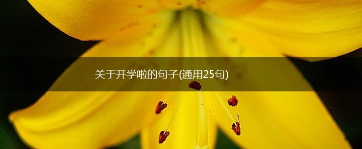 关于开学啦的句子(通用25句),第1张