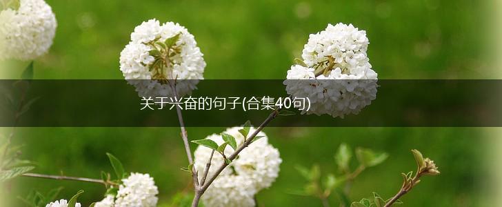 关于兴奋的句子(合集40句),第1张