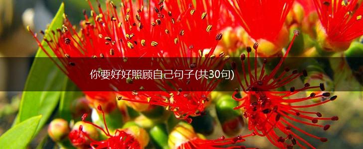 你要好好照顾自己句子(共30句),第1张