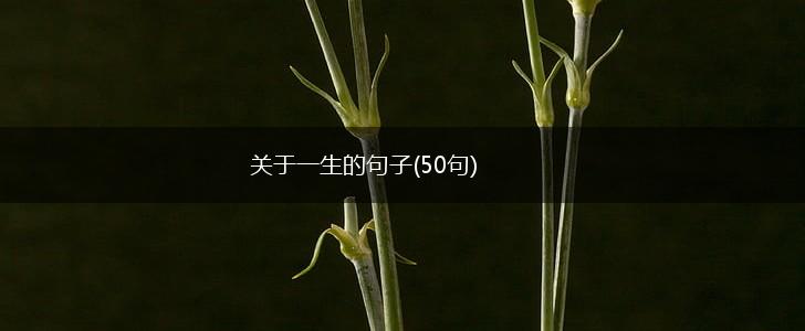 关于一生的句子(50句),第1张