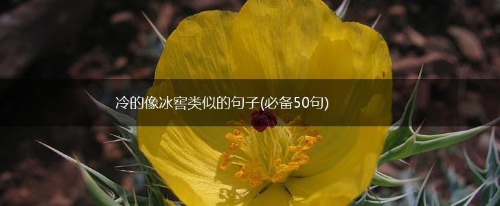 冷的像冰窖类似的句子(必备50句),第1张