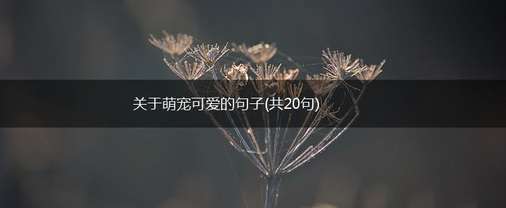 关于萌宠可爱的句子(共20句),第1张