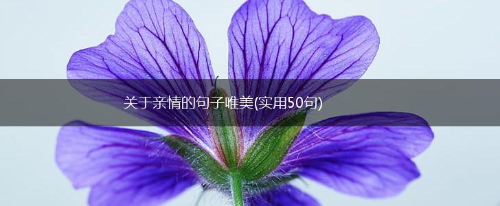 关于亲情的句子唯美(实用50句),第1张