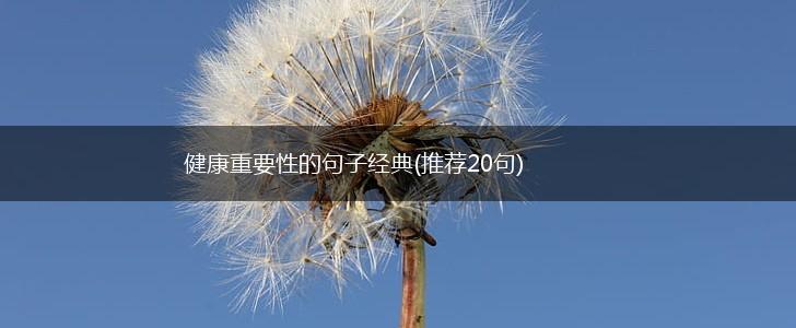 健康重要性的句子经典(推荐20句),第1张