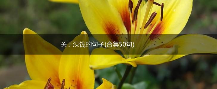 关于没钱的句子(合集50句),第1张