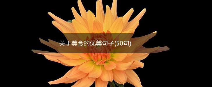 关于美食的优美句子(50句),第1张