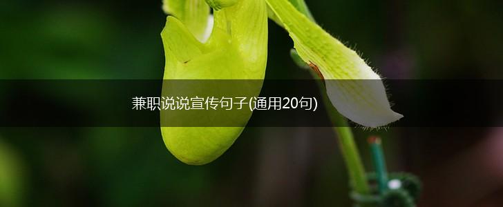 兼职说说宣传句子(通用20句),第1张