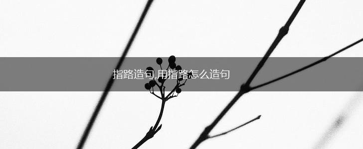 指路造句,用指路怎么造句,第1张