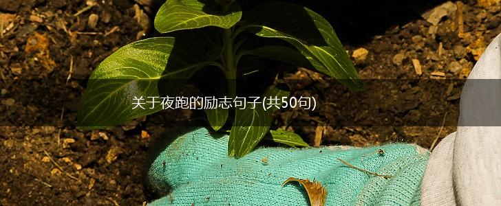 关于夜跑的励志句子(共50句),第1张