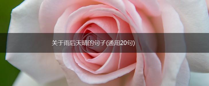 关于雨后天晴的句子(通用20句),第1张