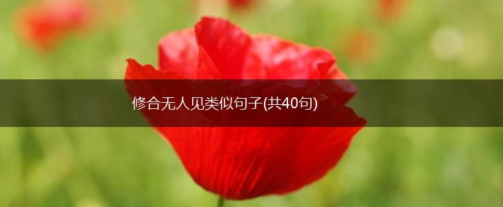 修合无人见类似句子(共40句),第1张