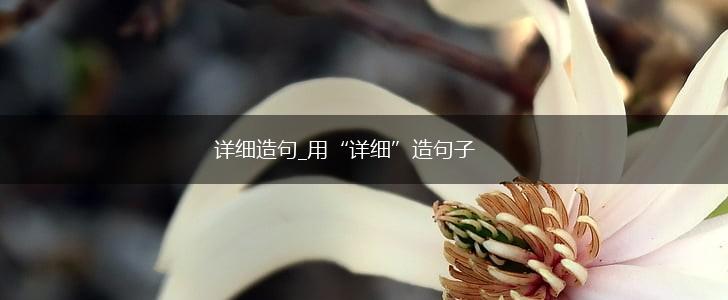 详细造句_用“详细”造句子,第1张
