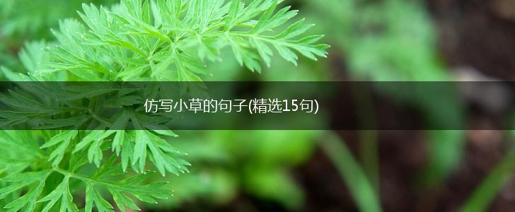 仿写小草的句子(精选15句),第1张