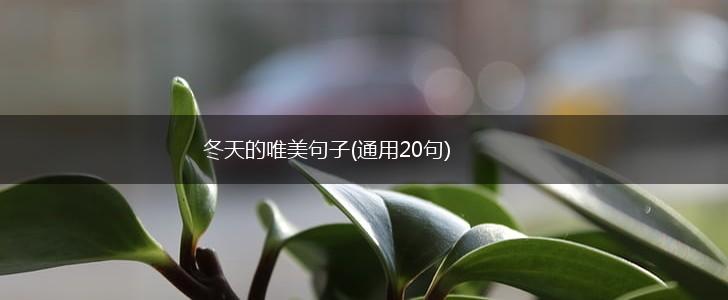 冬天的唯美句子(通用20句),第1张