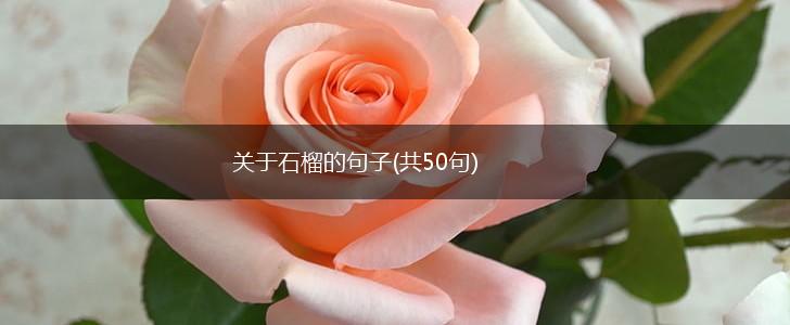 关于石榴的句子(共50句),第1张