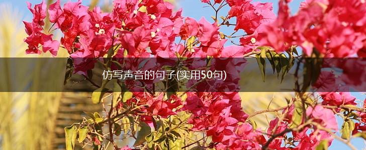 仿写声音的句子(实用50句),第1张