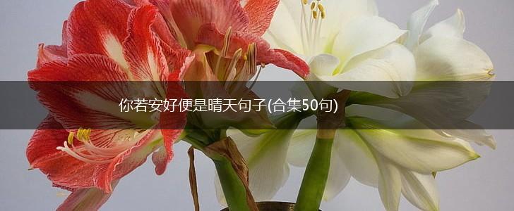 你若安好便是晴天句子(合集50句),第1张