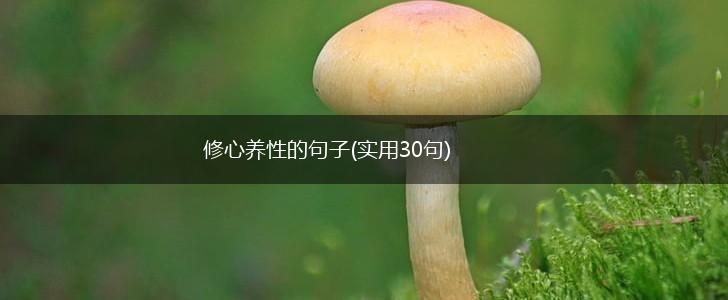 修心养性的句子(实用30句),第1张