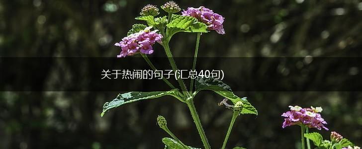 关于热闹的句子(汇总40句),第1张