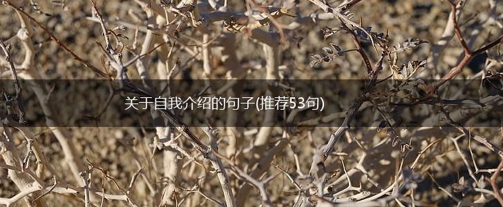 关于自我介绍的句子(推荐53句),第1张