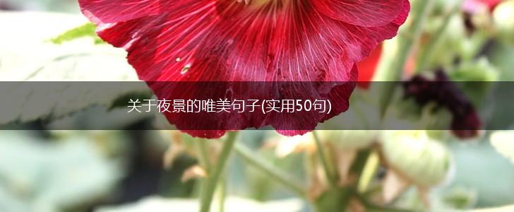 关于夜景的唯美句子(实用50句),第1张