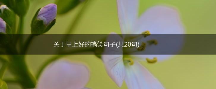 关于早上好的搞笑句子(共20句),第1张