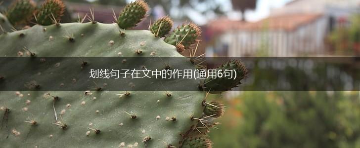 划线句子在文中的作用(通用6句),第1张