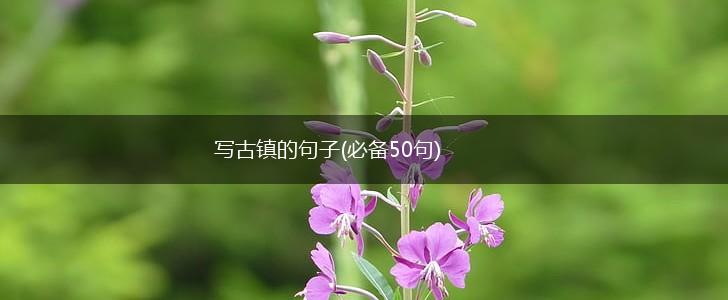 写古镇的句子(必备50句),第1张