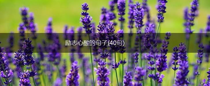 励志心酸的句子(40句),第1张
