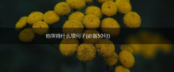 他哭得什么填句子(必备50句),第1张