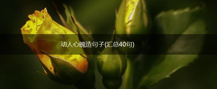 动人心魄造句子(汇总40句),第1张