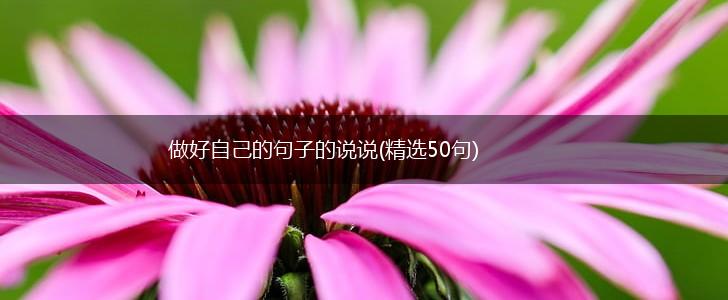 做好自己的句子的说说(精选50句),第1张
