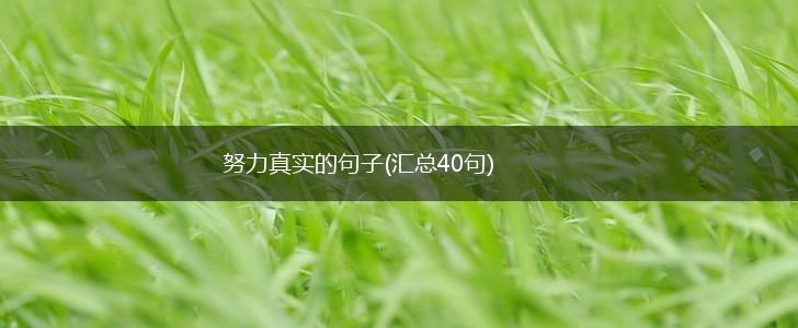 努力真实的句子(汇总40句),第1张