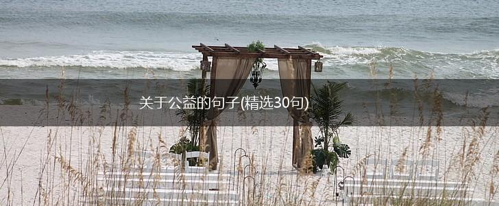 关于公益的句子(精选30句),第1张