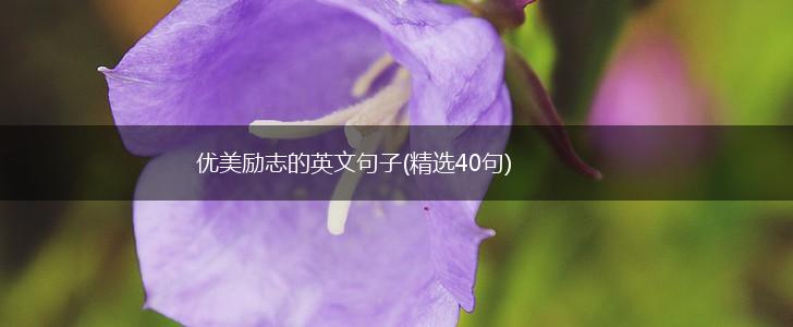 优美励志的英文句子(精选40句),第1张