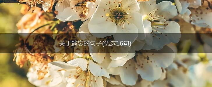 关于遗忘的句子(优选16句),第1张