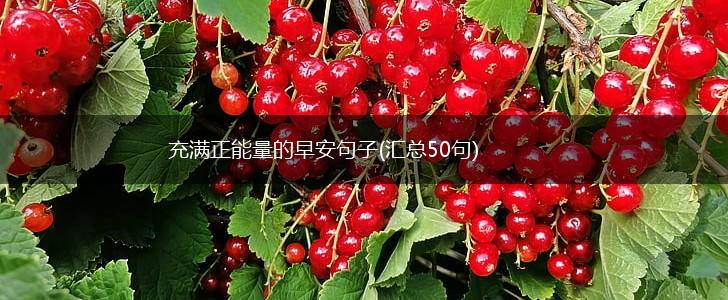 充满正能量的早安句子(汇总50句),第1张
