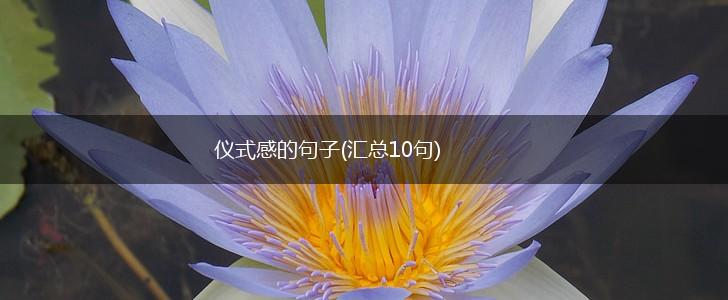 仪式感的句子(汇总10句),第1张