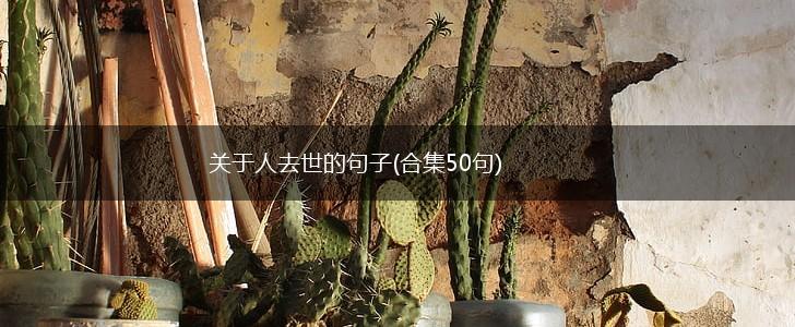关于人去世的句子(合集50句),第1张