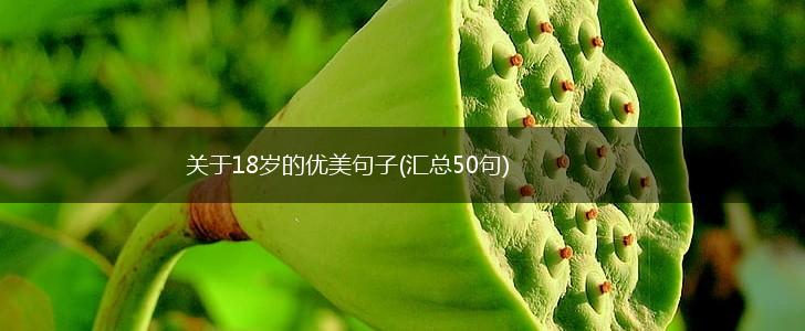关于18岁的优美句子(汇总50句),第1张