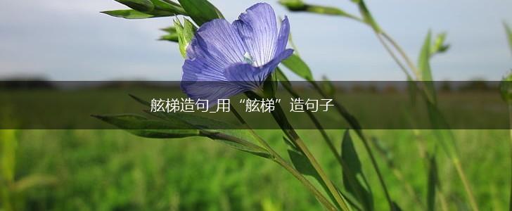 舷梯造句_用“舷梯”造句子,第1张