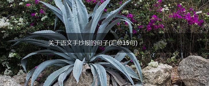 关于语文手抄报的句子(汇总15句),第1张