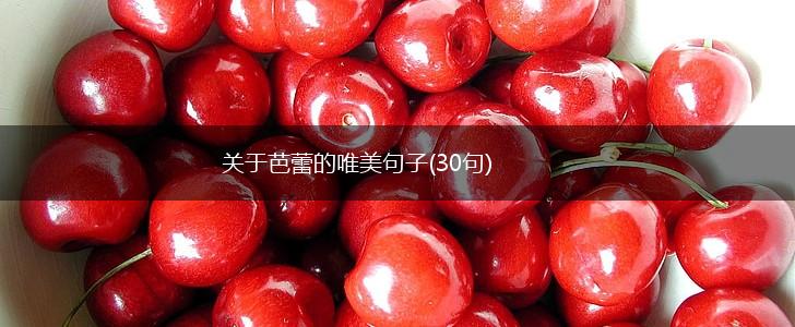 关于芭蕾的唯美句子(30句),第1张