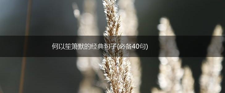 何以笙箫默的经典句子(必备40句),第1张