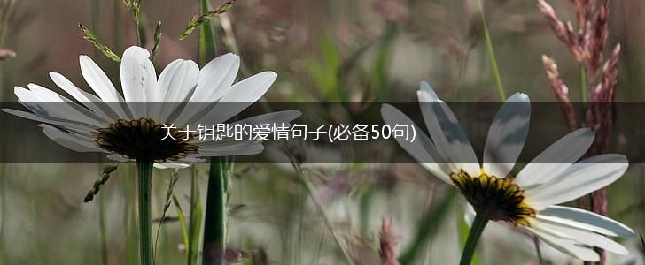 关于钥匙的爱情句子(必备50句),第1张