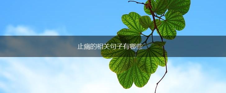 止痛的相关句子有哪些,第1张