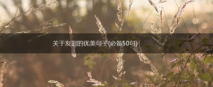 关于友谊的优美句子(必备50句),第1张